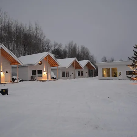 Atte Arstider Neiden