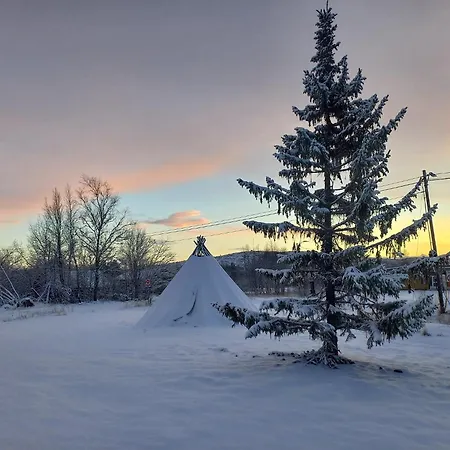 Atte Arstider 3* Neiden